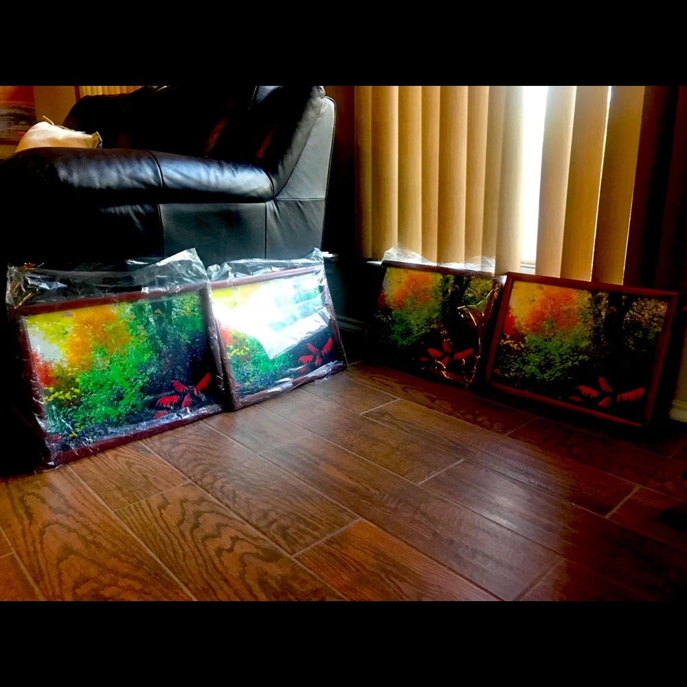 Four Art framed with back cushioned